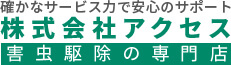 シロアリ駆除 | 東京都荒川区の害虫駆除（ねずみ・ゴキブリ等）｜株式会社アクセス